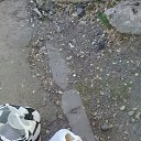 ���� �������, ������, 22 ���� - ��������� 14 ������� 2023 � ������ ���� ����������