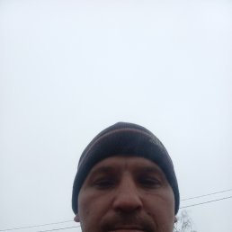 , 44, 