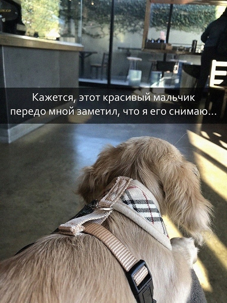 ���� - 16 �������� 2025 � 08:16