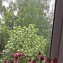 ���� �������, ������, 62 ���� - ��������� 31 ��� 2026 � ������ ���� ����������