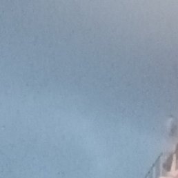 ����, ������ ��������, 50 ���