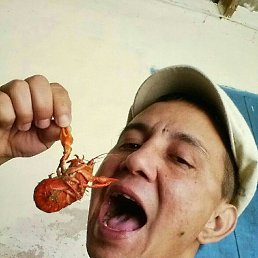 ���� �����, ������, 51 ��� - ��������� 29 ������ 2025
