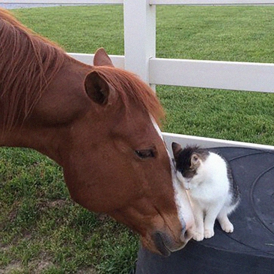     :3