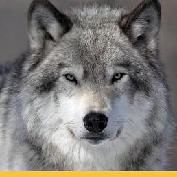 ���� ������, ���������, 23 ���� - ��������� 13 ������ 2024