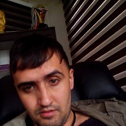 , 33, 