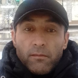 ����, �����-���������, 48 ���