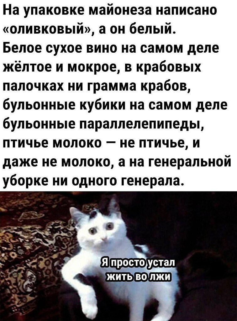   - 7  2025  20:22