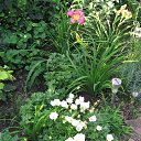 ���� ��������, ��������, 69 ��� - ��������� 1 ������� 2025 � ������ �����