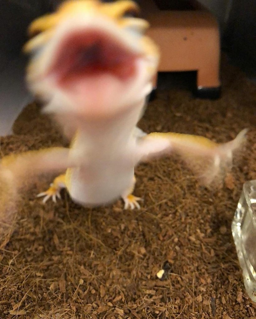 - ?   ! - 2