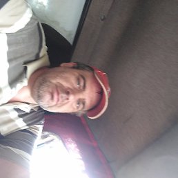 �������, ������, 46 ���