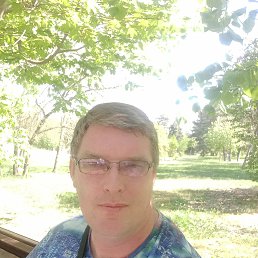 , 37, 