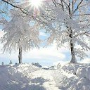 ���� Lady, ������� - ��������� 22 ������� 2023 � ������ ������ ��������