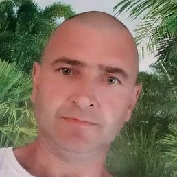 �������, �����, 43 ����