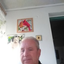 , 56, 