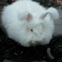 ���� �����������, ������ - ��������� 20 ������ 2025 � ������ ������ ��������