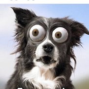 ������, 32 ����, ������