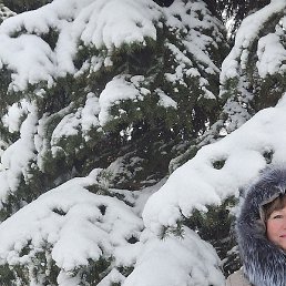 ������, ������, 46 ���