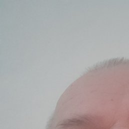 ������, ������, 52 ����