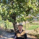 ���� ��������, ��������, 72 ���� - ��������� 15 ������� 2024 � ������ ���� ����������