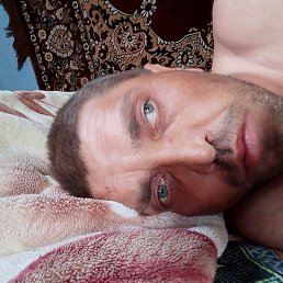 ���� ������, ������, 37 ��� - ��������� 27 ���� 2025