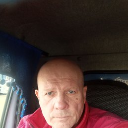 , 55, 