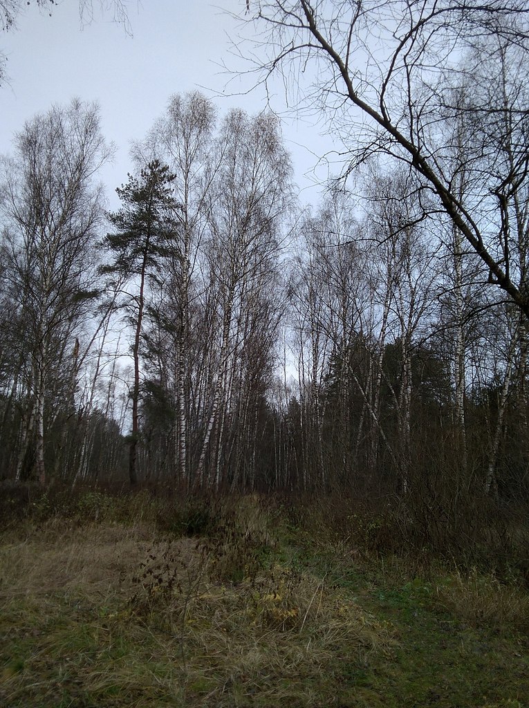 epoo-coco ec  aoao ape 