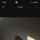 ���� ����������, �����, 38 ��� - ��������� 8 ������ 2026 � ������ ���� ����������