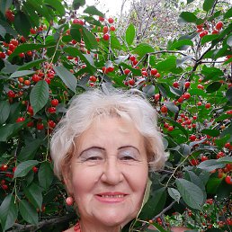 , 66, 
