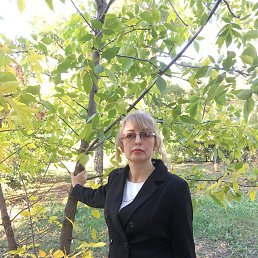 ���� ��������, ��������, 49 ��� - ��������� 28 ������� 2026