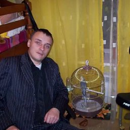 , 36, 