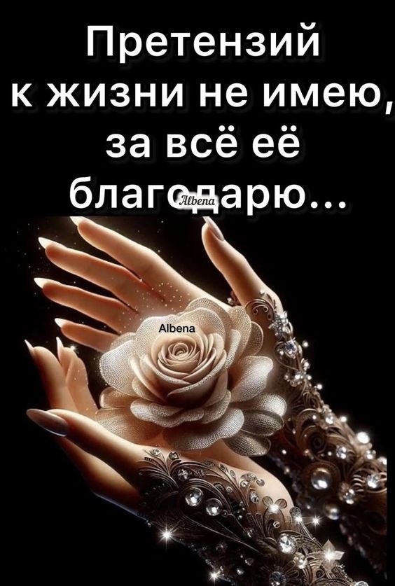 ₪╬═►  ||  ||  ◄═╬₪ - 26  2024  15:23