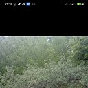 ���� ���, �����������, 44 ���� - ��������� 26 ������� 2023 � ������ ���� ����������