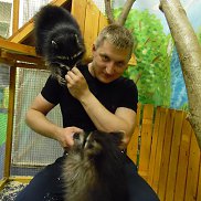 �������, 33 ����, ������