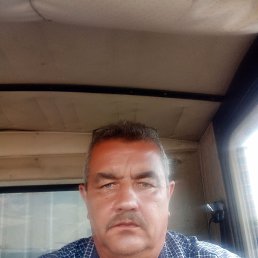 , 55, 