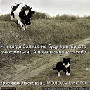 ���� �����, ������ - ��������� 2 ������ 2024 � ������ ������ ��������