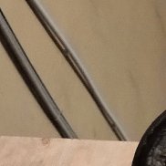 �����, 44 ����, ������