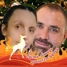 ���� ����, ��������, 42 ���� - ��������� 1 ������ 2026