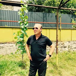 ���� Giorgi, �������, 50 ��� - ��������� 14 ��� 2026