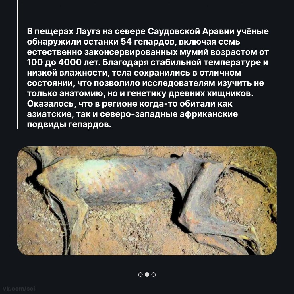 Путешествия | Туризм | Отдых на 5 - 10 октября 2025 в 17:05 - 2