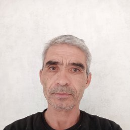 , 51,  