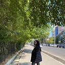 ���� ����, ������, 27 ��� - ��������� 17 ���� 2026 � ������ ���� ����������