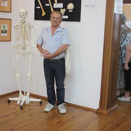 ��������, ������, 81 ���