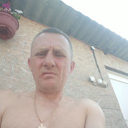 , 41, 