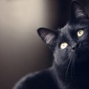 ���� �����, ������, 44 ���� - ��������� 8 ������ 2025 � ������ ���� ����������