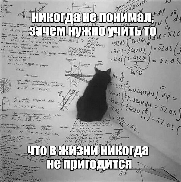 ? ,  ! - 16  2024  06:29