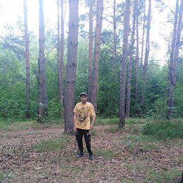 ������, 44 ����, ������