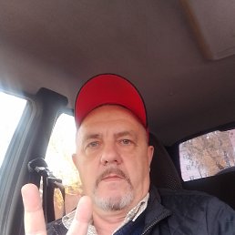 , 53,  