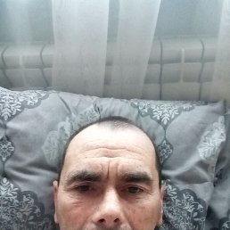 , 44 , 