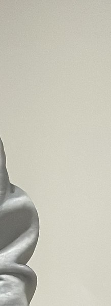 ���� ���������, ������������, 35 ���