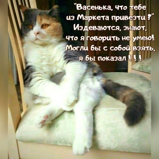 ��� ���� � ����� �� �� - 18 ��� 2026 � 21:25